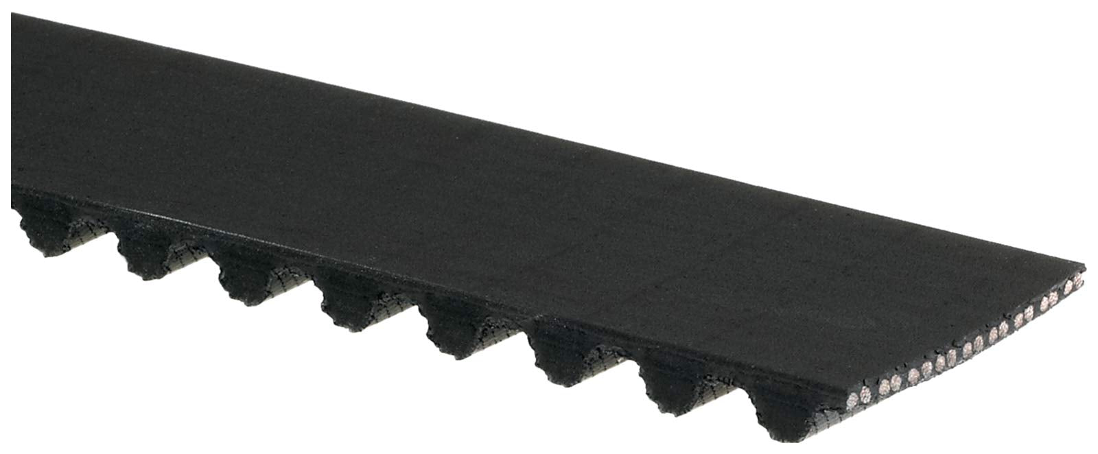 Gates T244 Premium Automotive Timing Belt