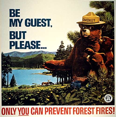 Smokey Bear Only You Can Prevent Forest Fires Vintage Sticker, Decal For Cars, Trucks, Coolers, Water Bottles, And Laptops (4 X 