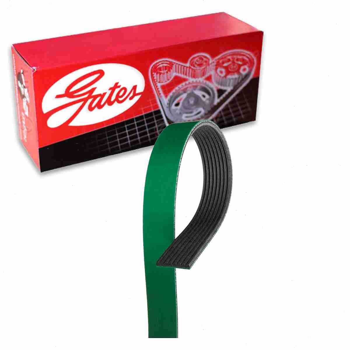 Gates FleetRunner Micro-V Serpentine Belt compatible with Ford F-350 Super Duty 7.3L V8 1999-2003