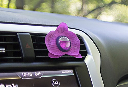 ARM & HAMMER Vent Clip Air Freshener, Tahiti Orchid, 1 Pack, Pink, Model AH8800TO