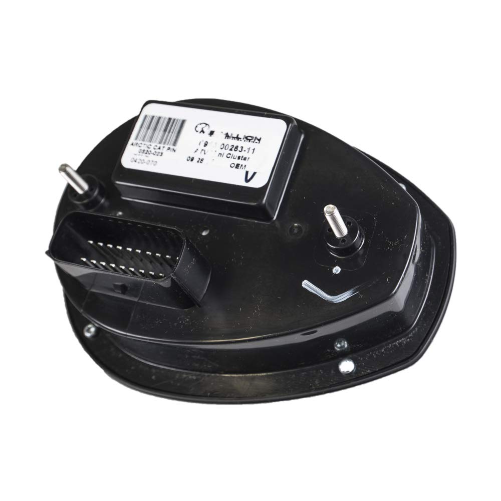 Gauge,Lcd (07 700 Efi)