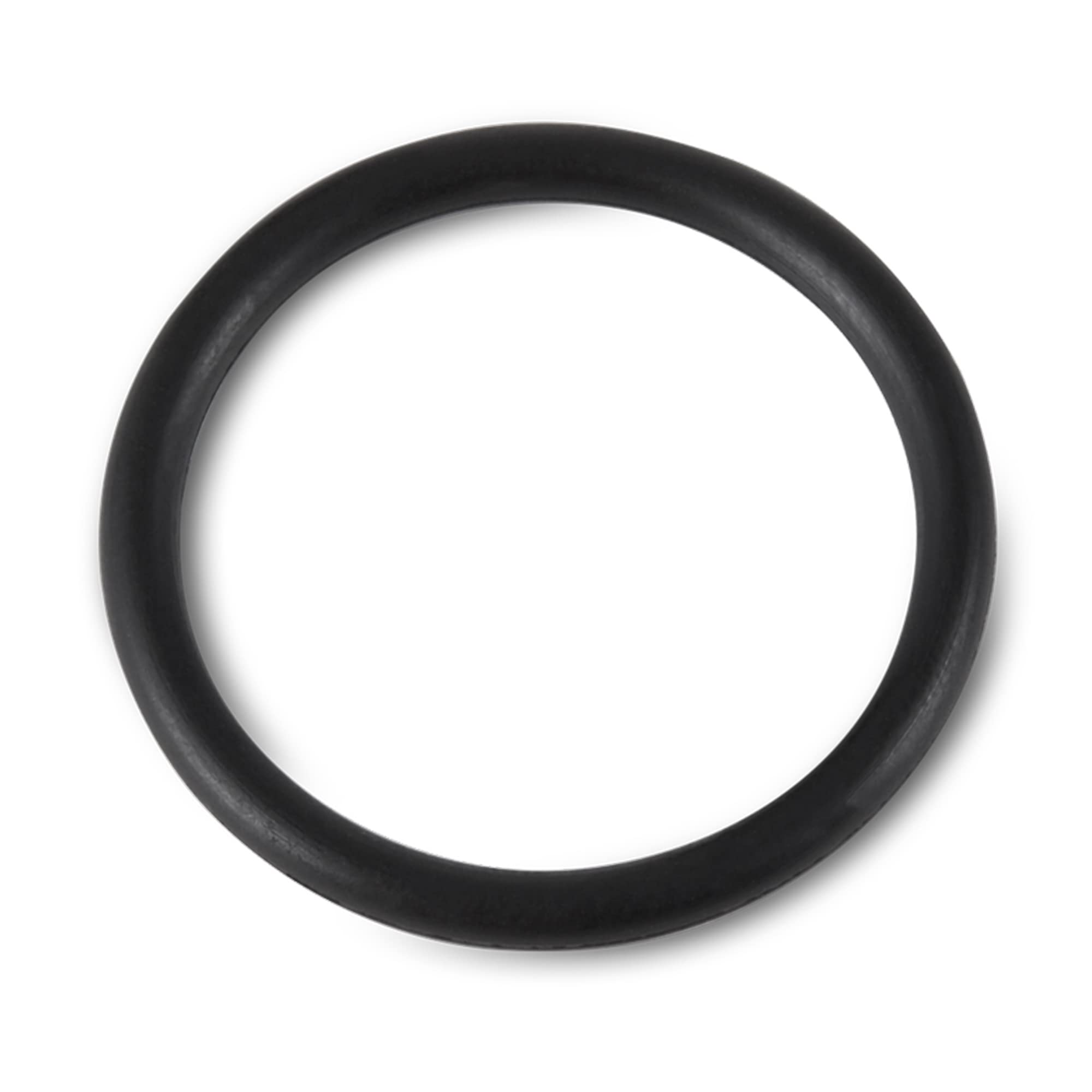 Intex 25003 1,500 Gph And Below Filter Pump Replacement Seals 10 Piece Pack