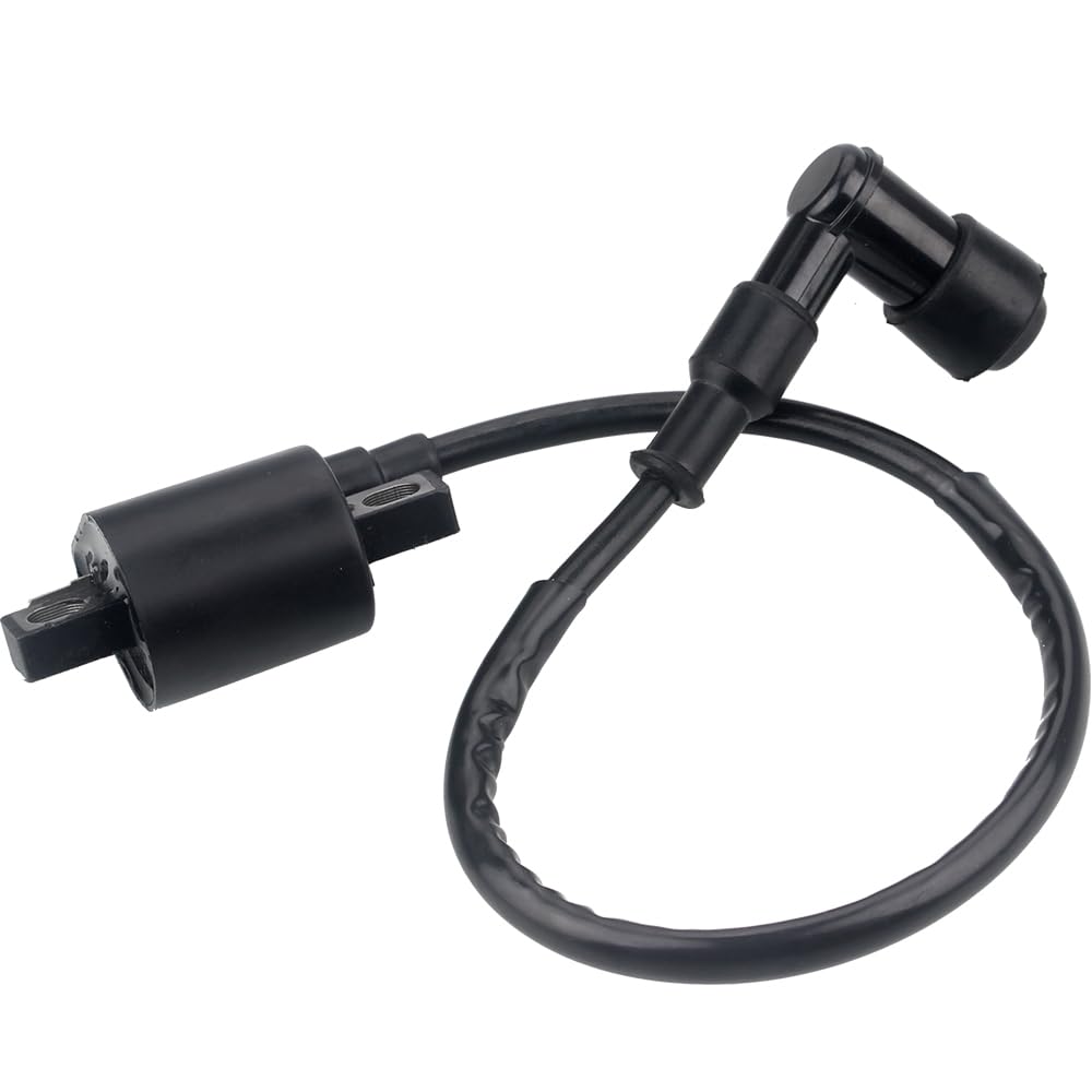 Ignition Coil For 50Cc 90Cc 110Cc 125Cc 150Cc 200Cc 250Cc Atv Quad Dirt Pit Bike Scooter Buggy Motorcycle Go Kart