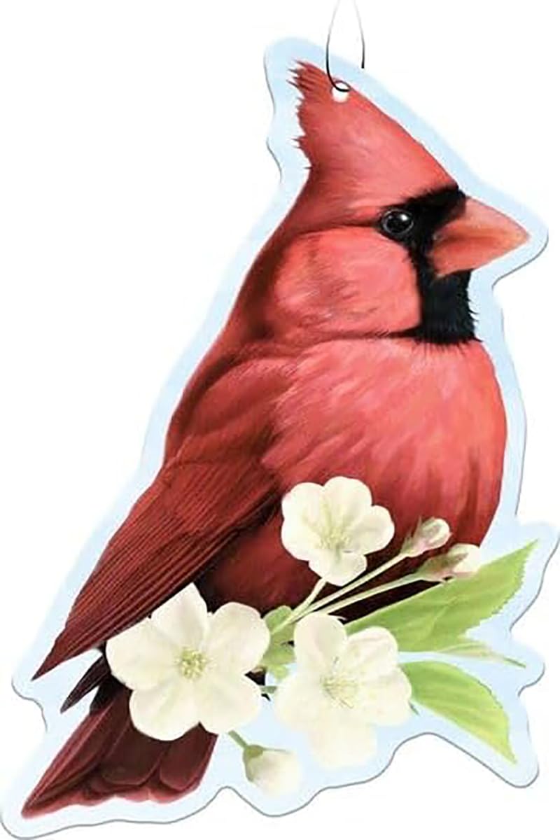 Spoontiques Cardinal Air Freshener