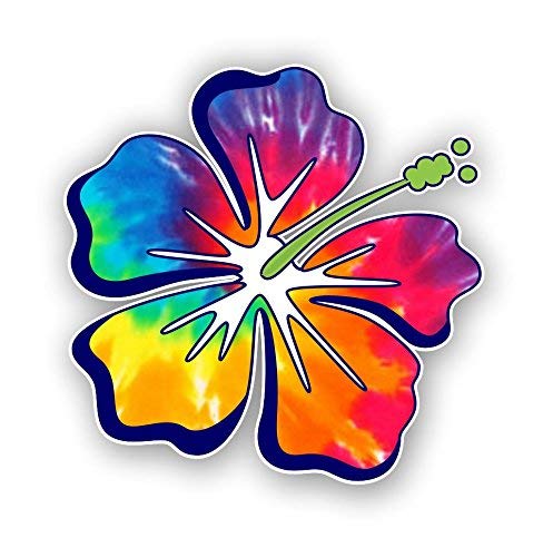 Vinyl Junkie Graphics Hibiscus Flower Hawaiian Car Truck Window Laptop Vinyl Decal Sticker (Rainbow Tie Dye)