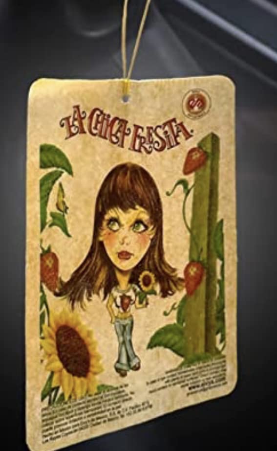 25 Pcs Strawberry La Chica Fresita Air Fresheners Aromatizante Fresa