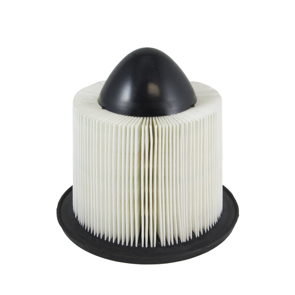 Ecogard Xa4878 Premium Engine Air Filter Fits Ford F-150 4.6L 1997-2008, F-150 5.4L 1997-2003, F-150 4.2L 1997-2008, Expedition