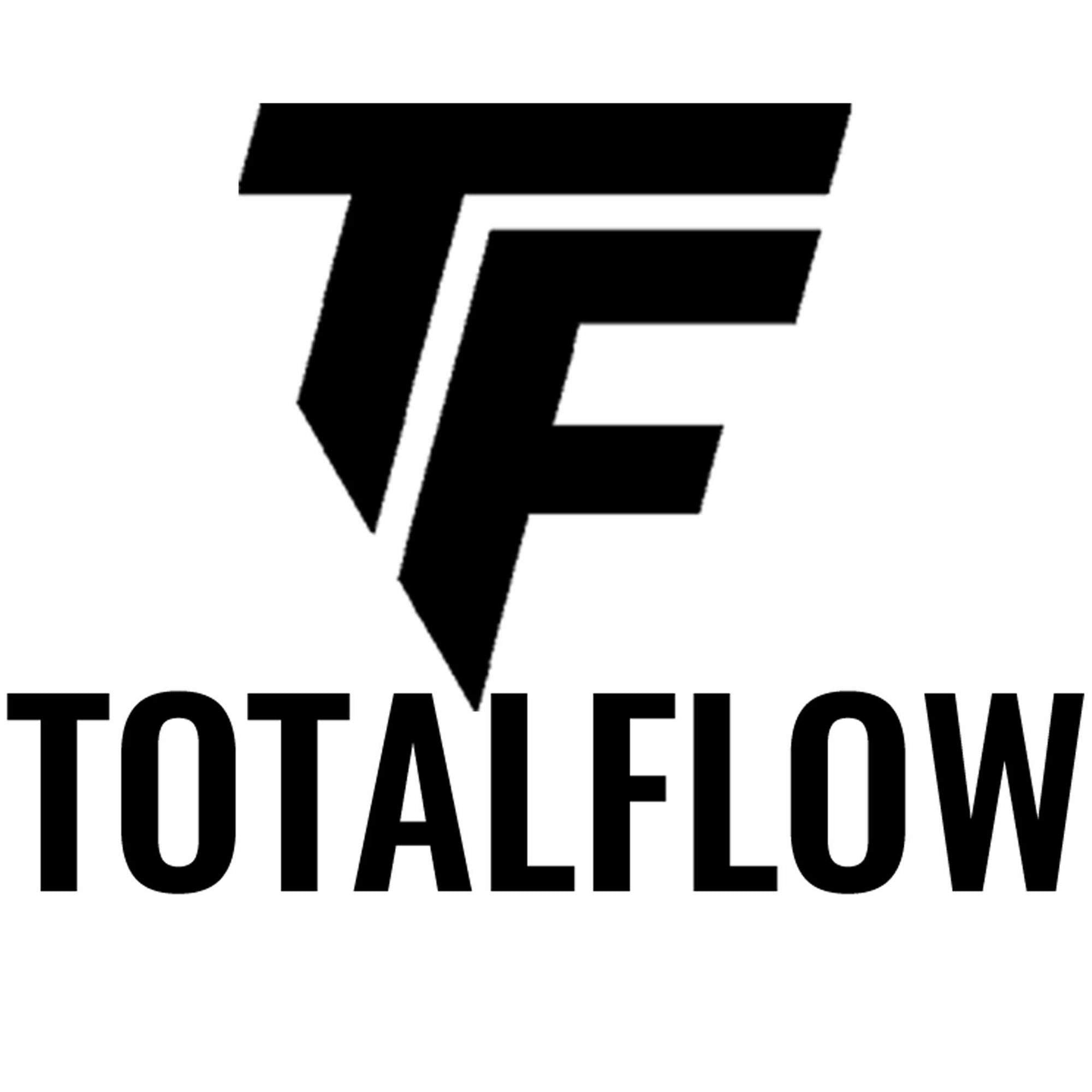 Totalflow 20-409-300-15 Universal Straight Exhaust Pipe Extension - Tube Replacement 409Ss Straight Tube 3 Inch Outer Diameter -
