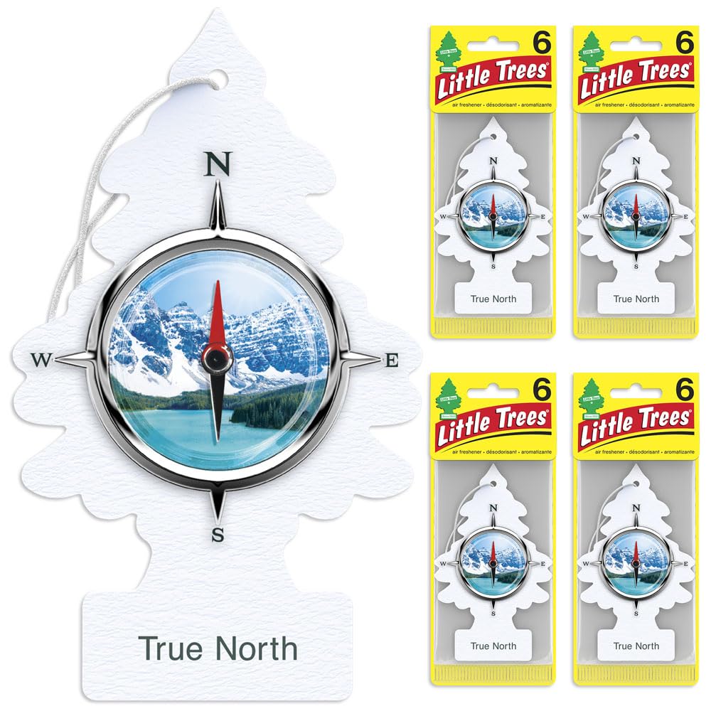 Little Trees Air Fresheners Car Air Freshener. Hanging Tree Provides Long Lasting Scent For Auto Or Home. True North, 24 Air Fre