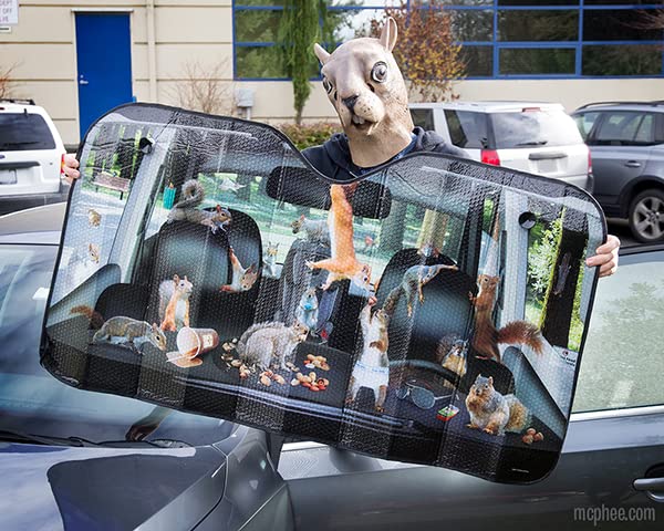 Mcphee Archie Accoutrements Auto Sunshade, Car Full Of Squirrels,One Size