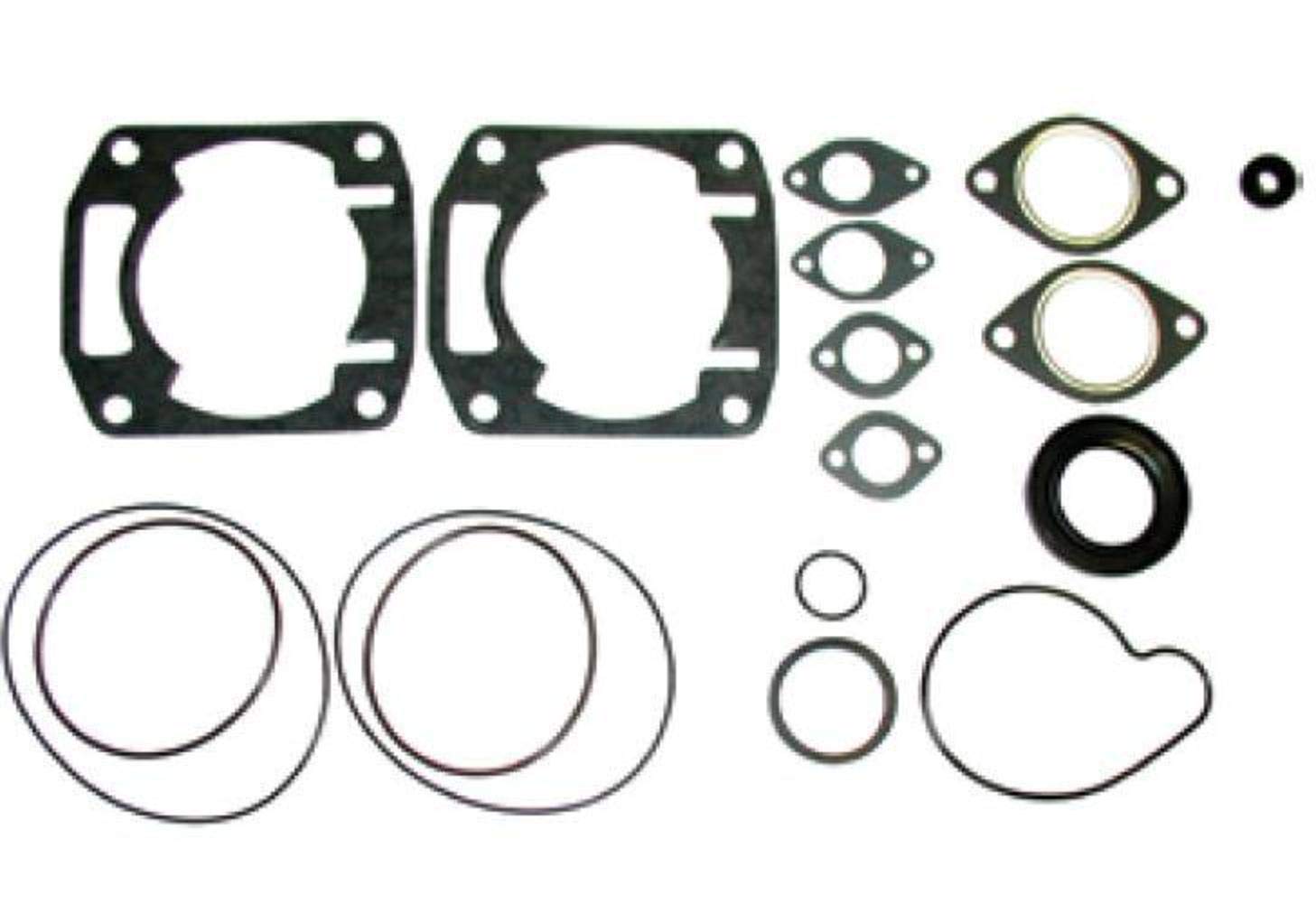 FULL GASKET SET ARCTIC S/M
