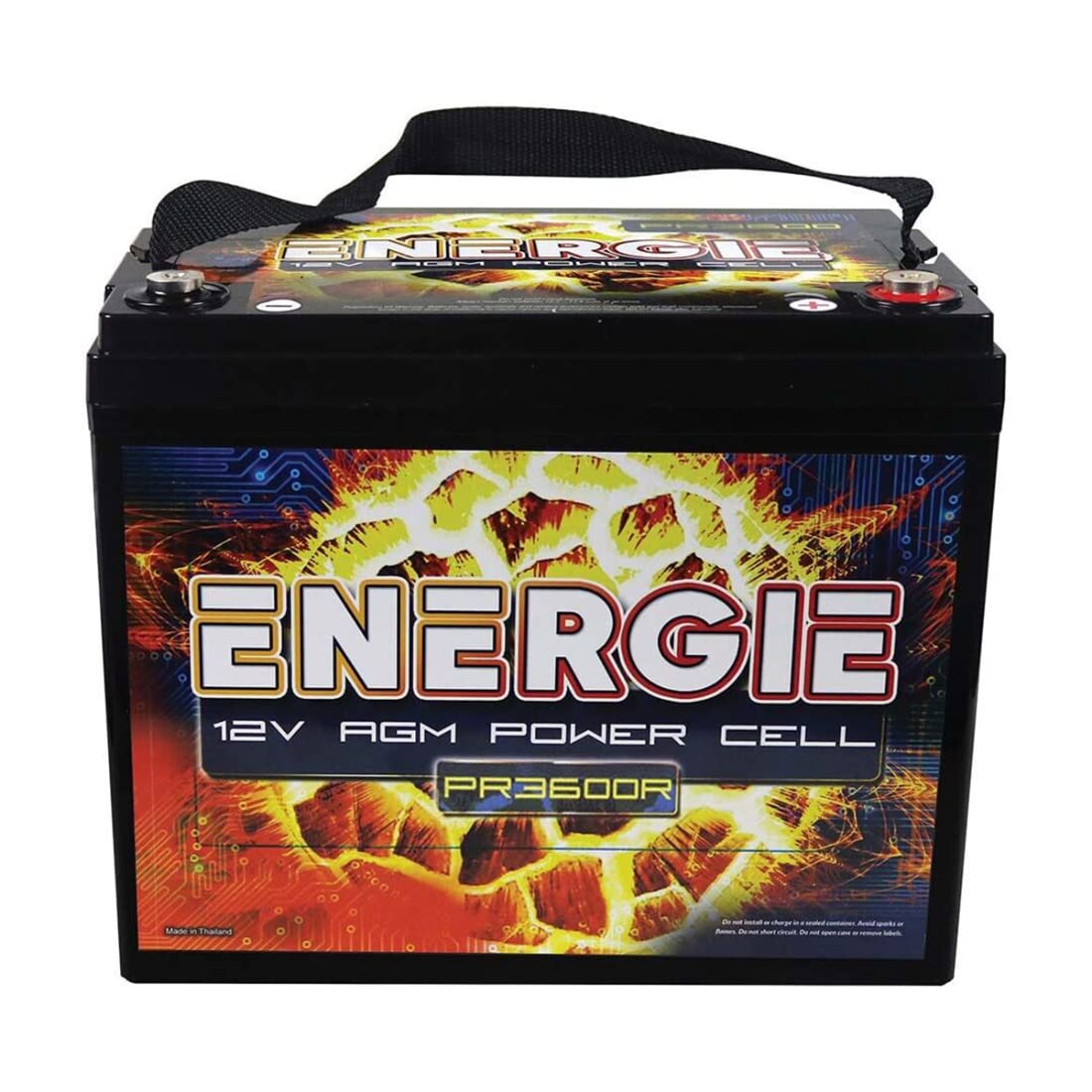 Energie Reikken PR600 600 Watt 12 Volt Power Cell - High Efficiency Energy Solution
