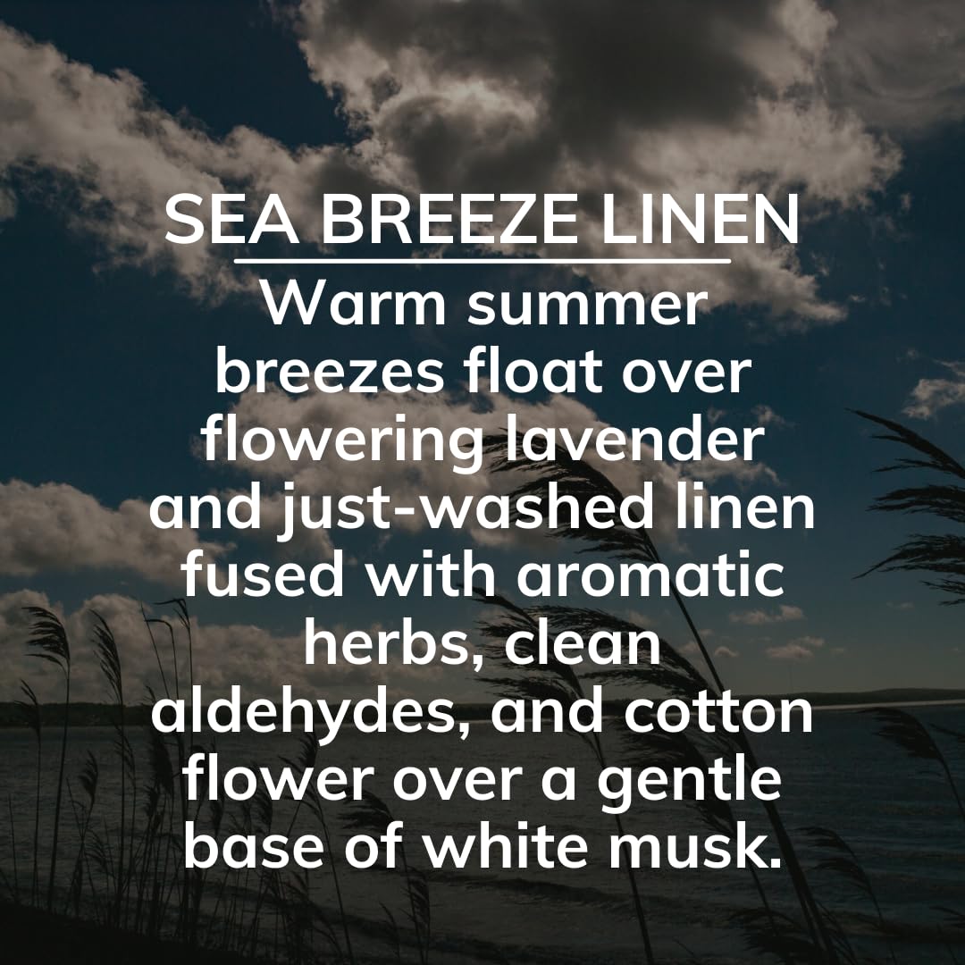 Citrus Magic On The Go Solid Air Absorber Sea Breeze Linen, Pack Of 3, 8-Ounces Each (866472509)