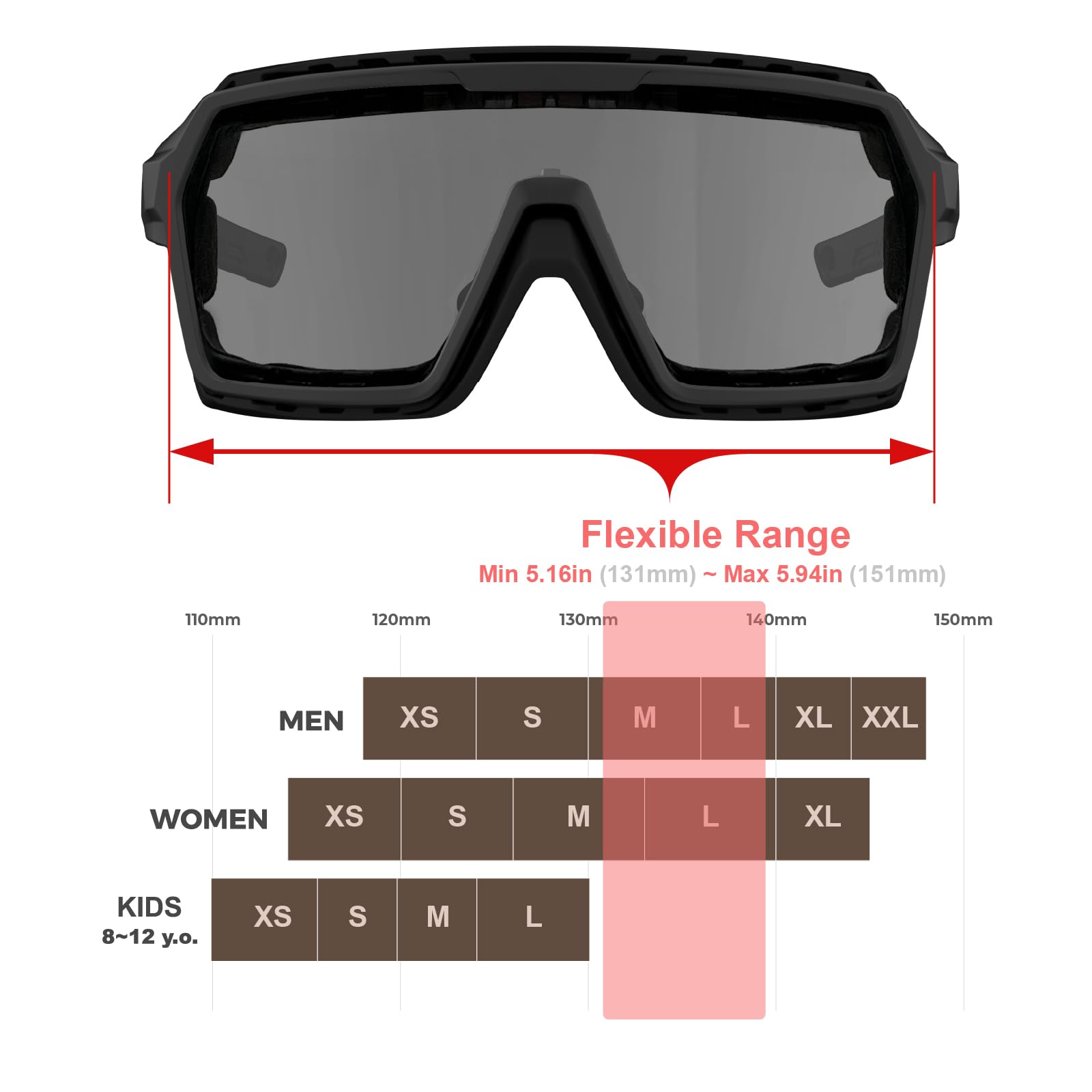 WDP100 Motorcycle Anti-Fog Goggles, Medium Size, Q38 Black/Smoke, Ideal for Riding and Ski Sports