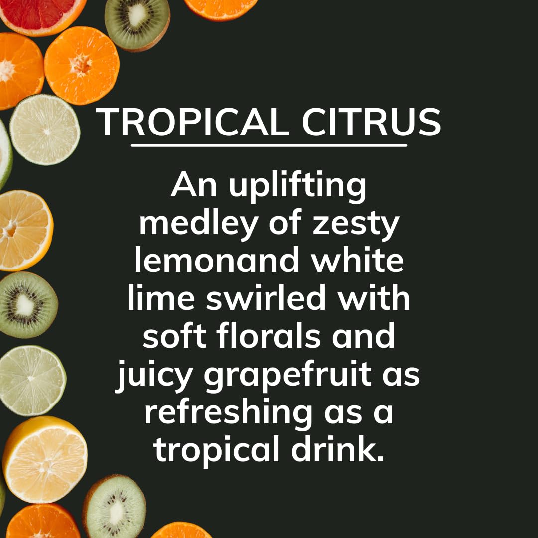 Citrus Magic Odor Absorbing Air Freshener, Tropical Citrus, 8 oz, Sea Breeze Linen, Model 866471533