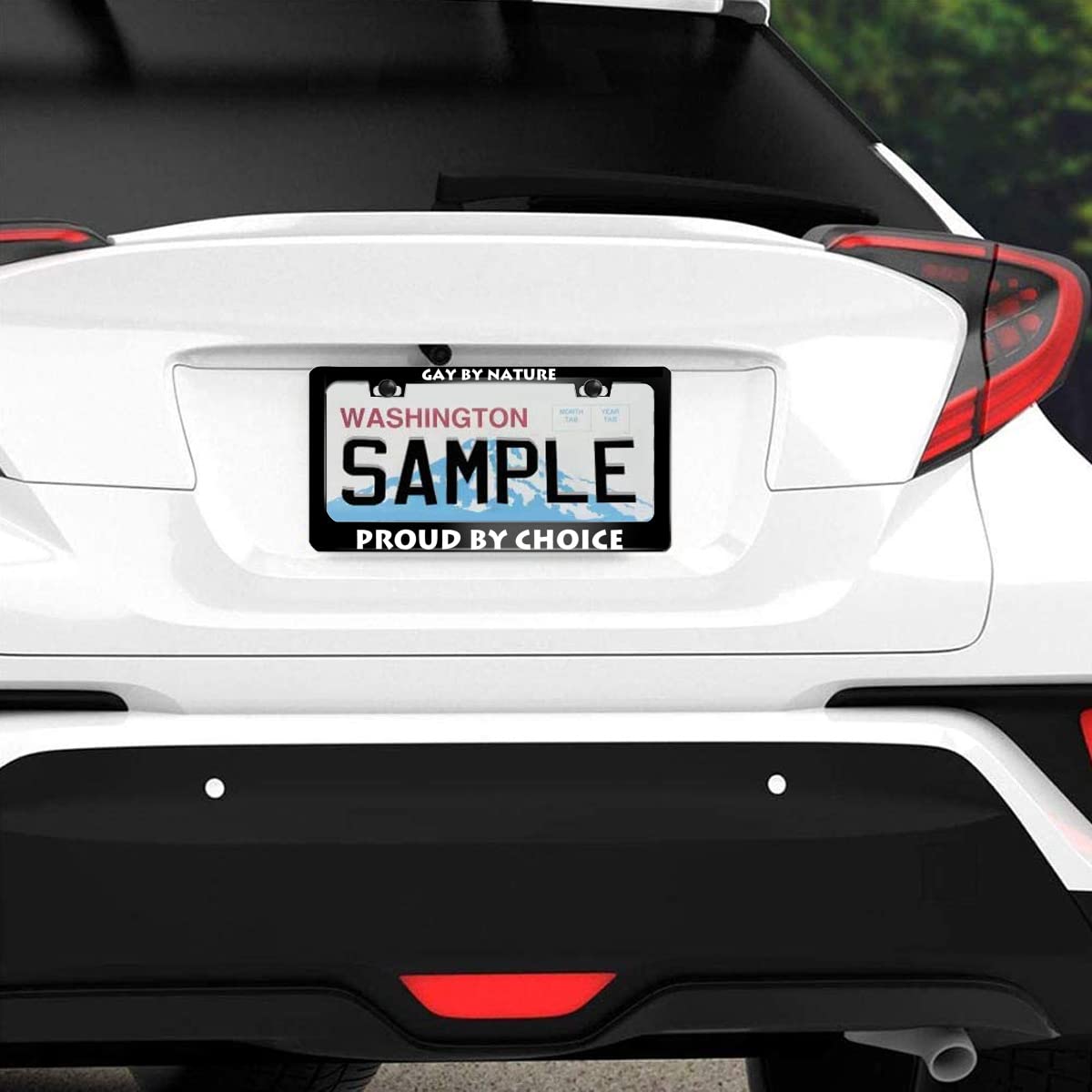 NOCITUN Gay by Nature Proud by Choice License Plate Frame Stainless Steels Funny Black Car Tag Holder Frames with 2 Holes and Sc