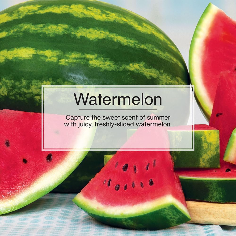 Little Trees Car Air Freshener. Vent Wrap Provides Long-Lasting Scent, Slip On Vent Blade. Watermelon, 16 Air Fresheners