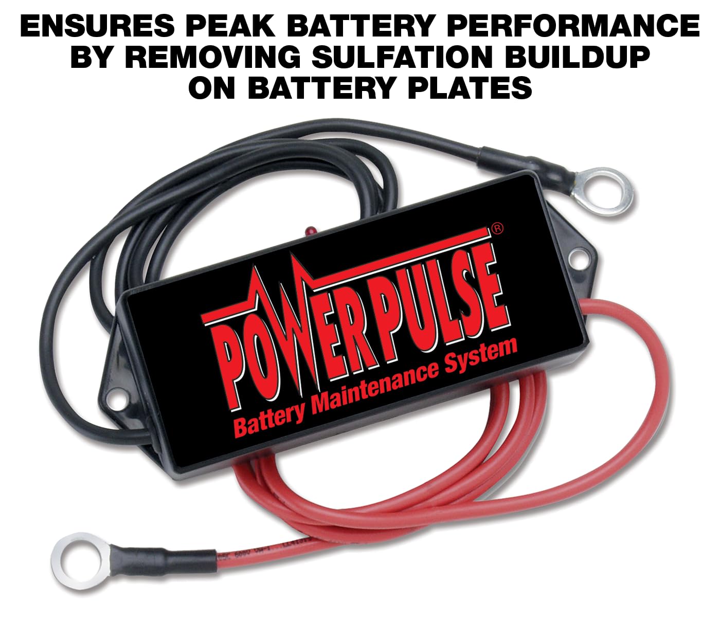 Pulsetech Powerpulse Battery Maintenance System, 24V