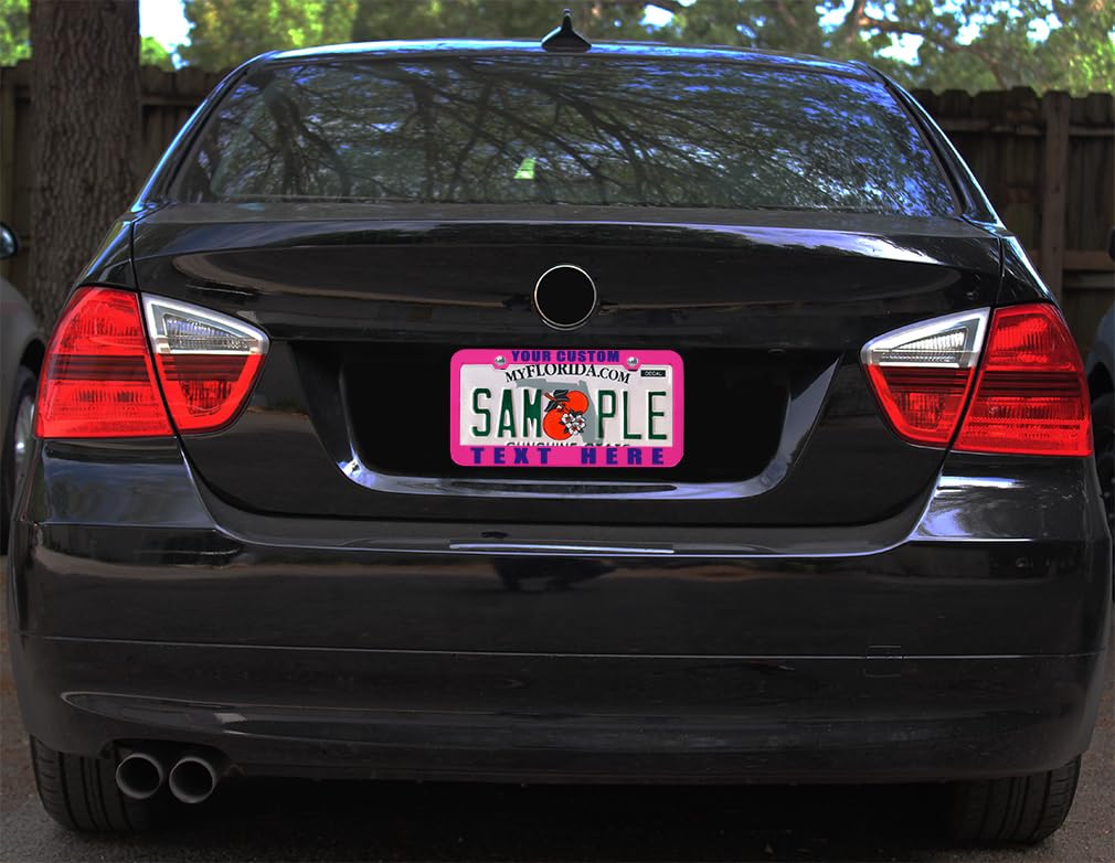 Custom License Plate Frame Custom Personalized Text Funny Metal Cute Car Accessories License Plate Holder Girl Hot Pink 2 Holes 1 Frame