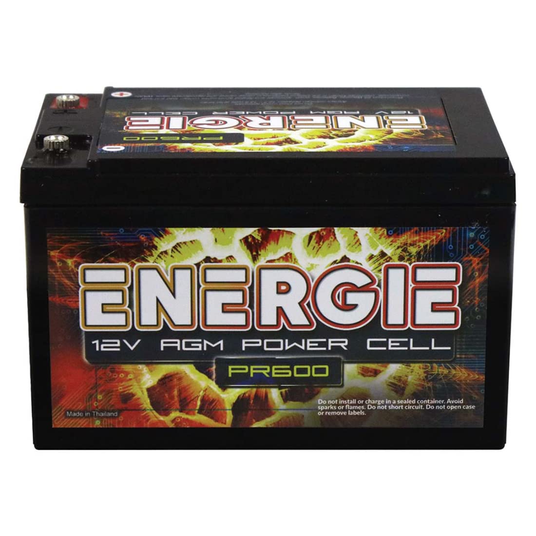 Energie Reikken PR600 600 Watt 12 Volt Power Cell - High Efficiency Energy Solution