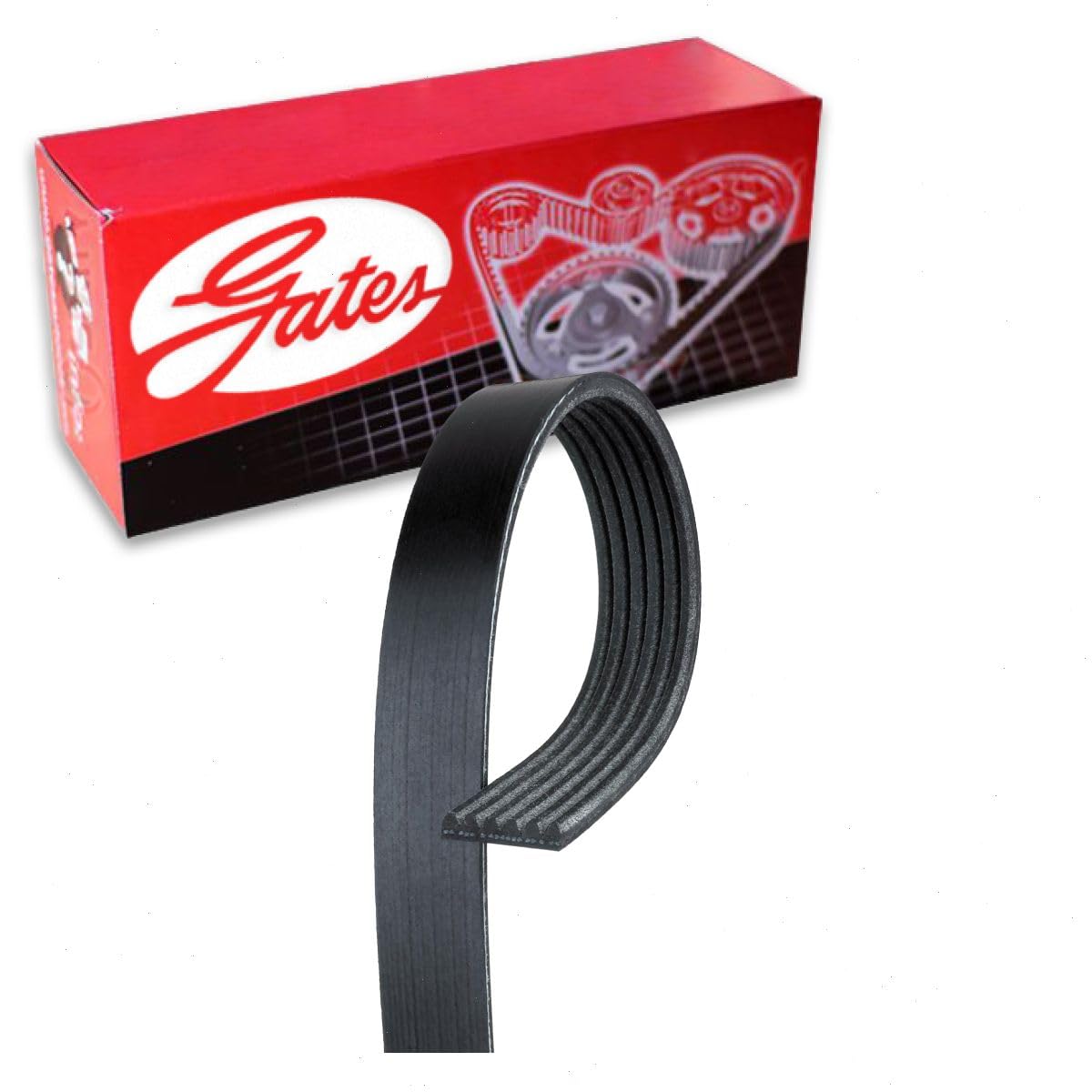 Gates Micro-V Serpentine Belt compatible with Honda HR-V 1.8L L4 2016-2019