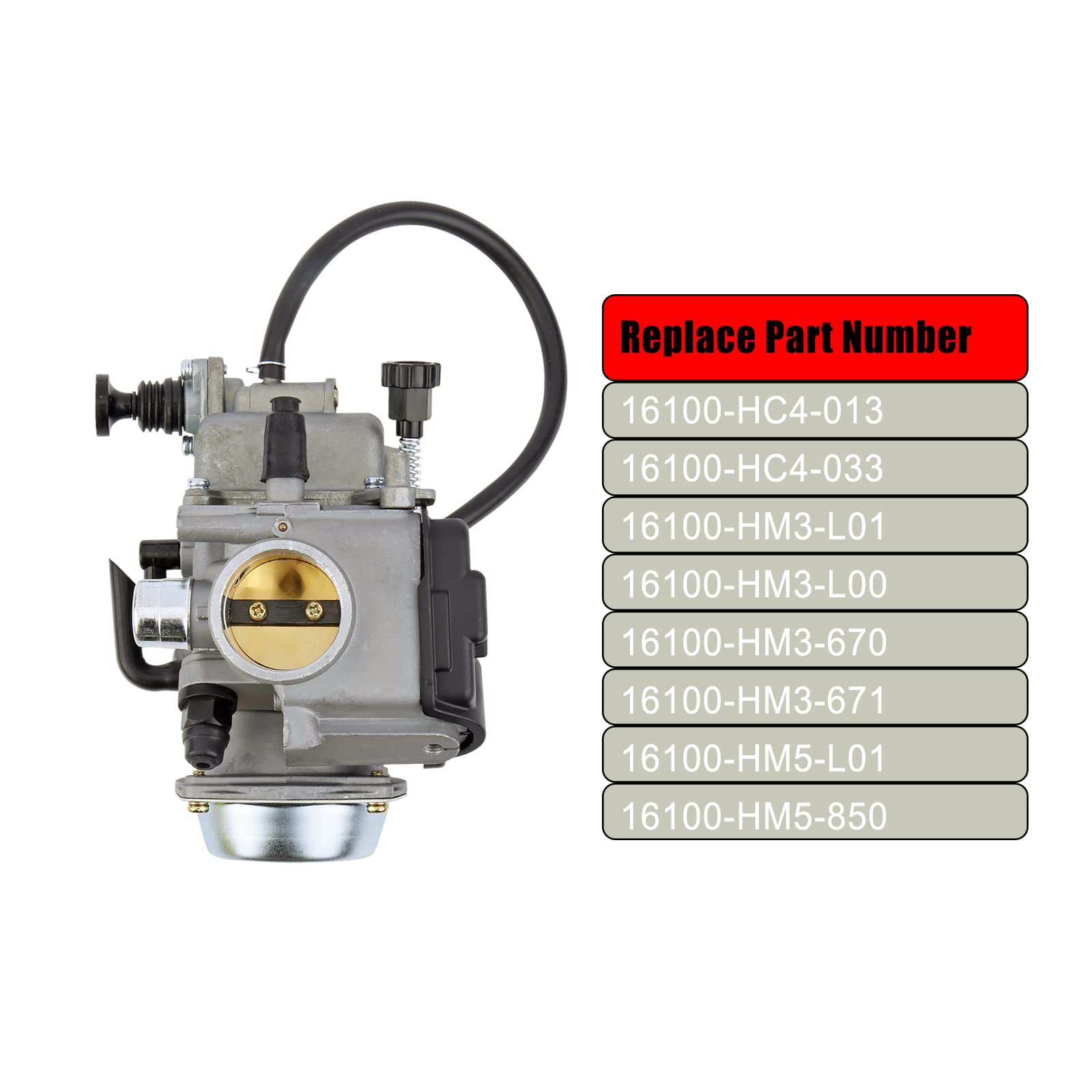 MINSTAR Fourtrax 300 Carburetor for Honda TRX300/TRX300FW & Rancher 350, Includes Fuel & Air Filter, Fits Models 1988-2006