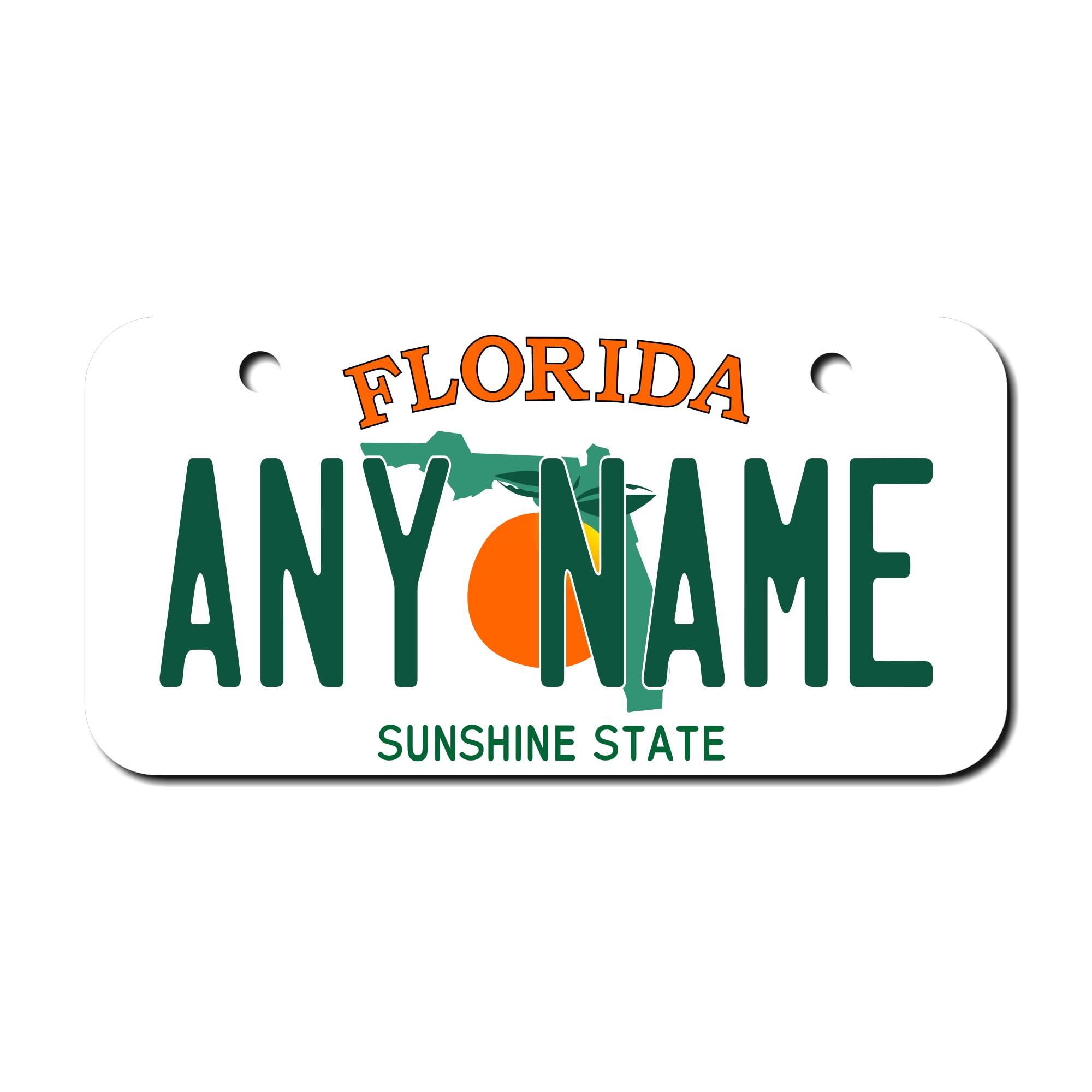 Teamlogo Personalized Florida License Plate - Sizes For Kid 'S Bikes, Cars, Trucks, Cart, Key Rings Version 1 (3 X 6 Aluminum Li