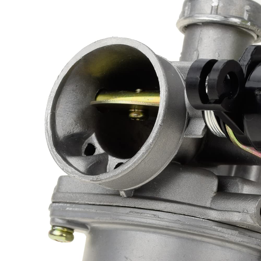 HIAORS PZ19 19mm Carburetor Carb With Cable Choke for 110cc 90cc Peace Eagle Cool Sport Sunl NST TaoTao Redcat Coolsport Loncin