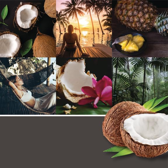 Yankee Candle Car Air Fresheners 3-Pack, 0.5 oz, Bahama Breeze, Black Coconut, Turquoise Sky, Model 1536831, Neutralizes Odors Up to