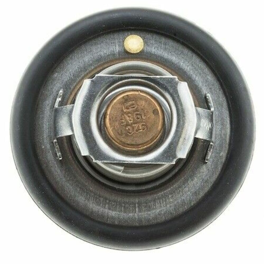 Motor Rad Am Cst 333198 Thermostat