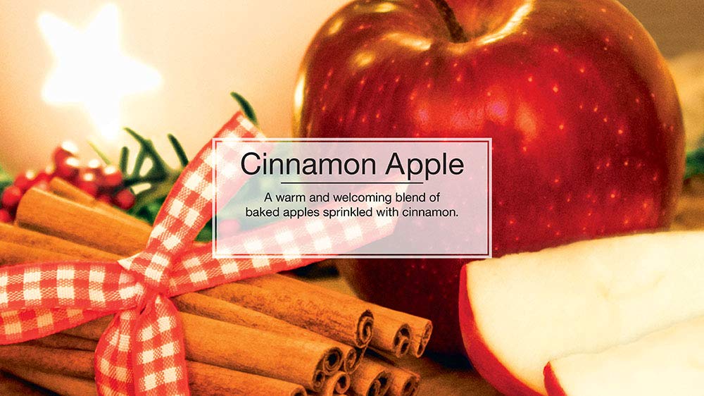Little Trees Air Fresheners Car Air Freshener. Hanging Tree Provides Long Lasting Scent For Auto Or Home. Cinnamon Apple, 24 Air