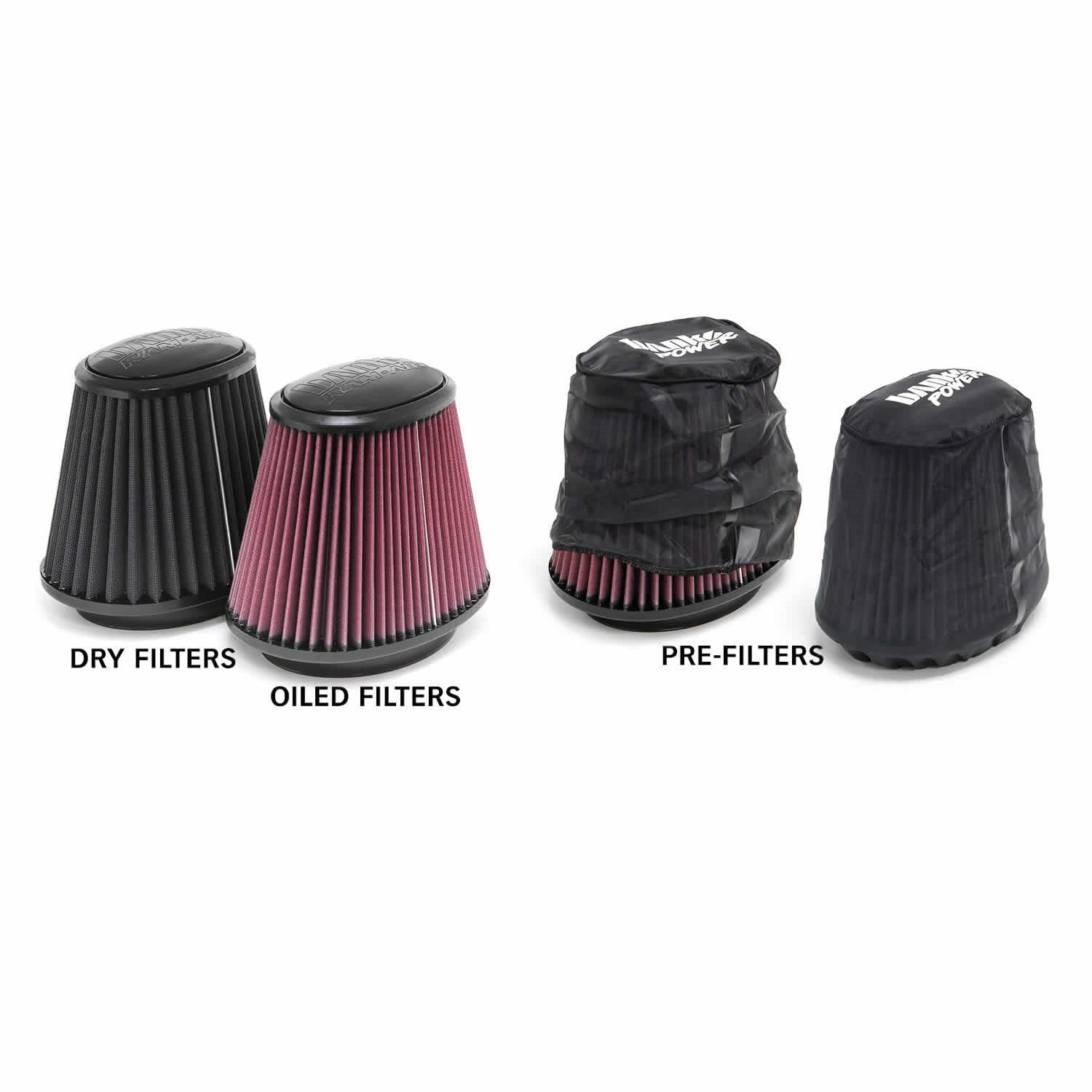 Banks 42225 Ram Air Intake System
