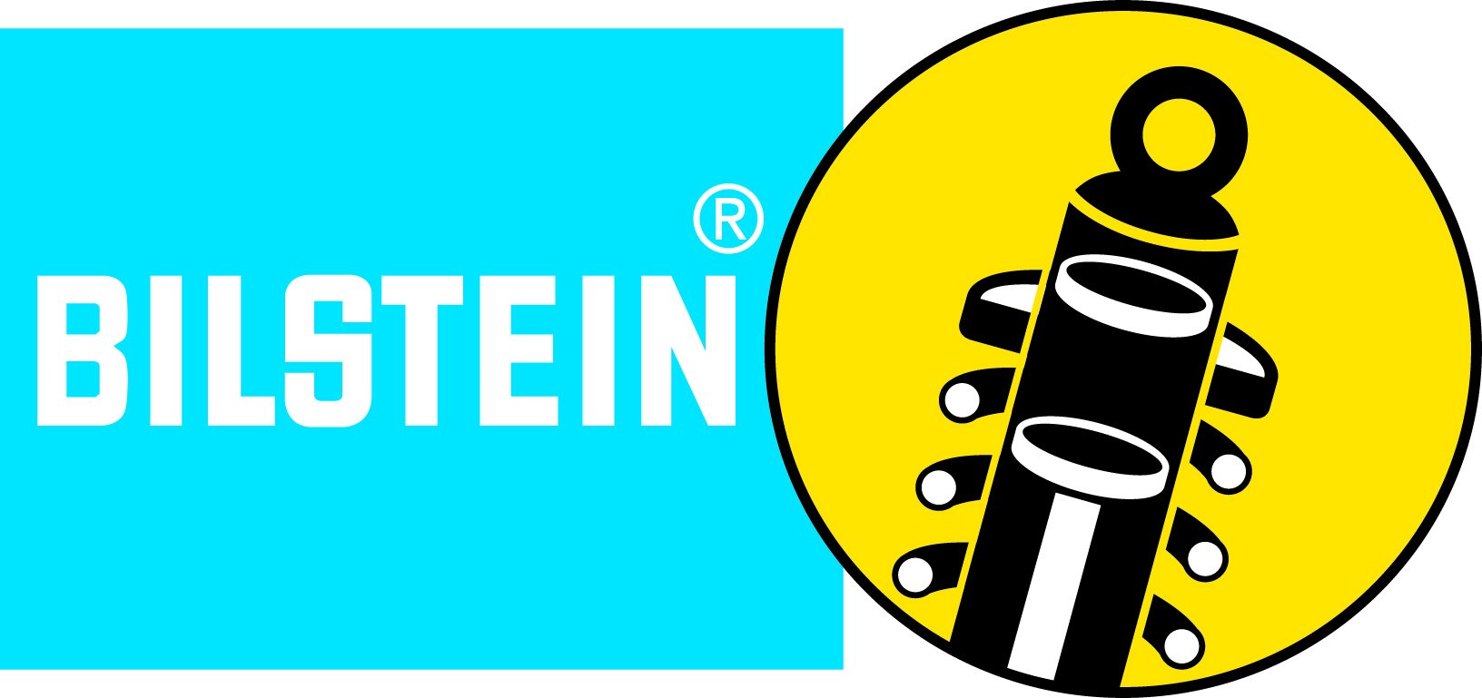Bilstein 24065009 Shock Absorber For Gm Light Truck