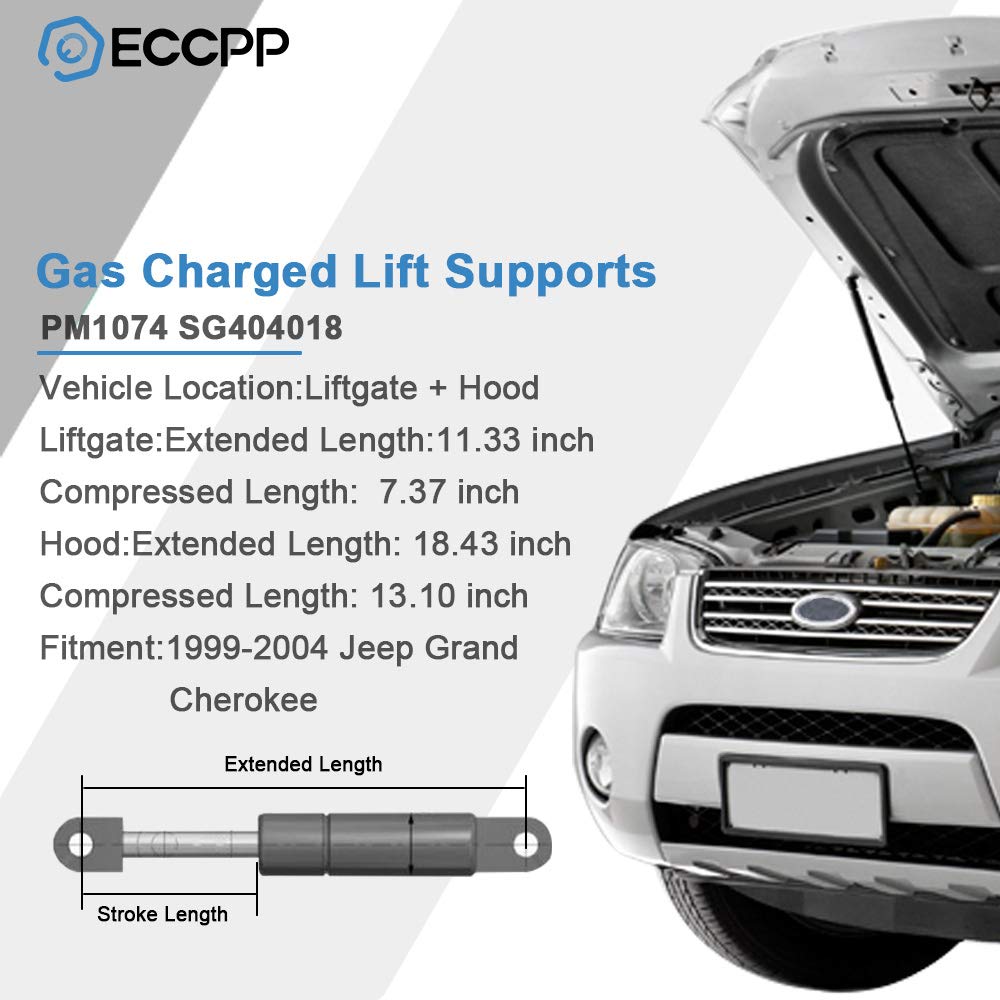 ECCPP Lift Supports Rear Trunk and Front Hood Struts Gas Springs Shocks for Chrysler 300 2005-2008 Compatible with 6405 6303 Str