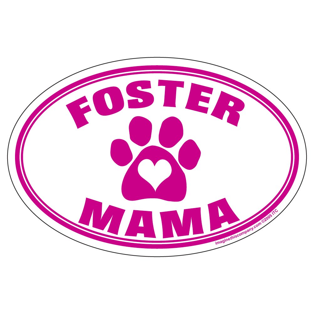 Imagine This Oval Magnet, Foster Mama