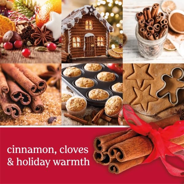 Yankee Candle Scent Plug Refill - Sparkling Cinnamon, 0.625 oz, Pack of 6