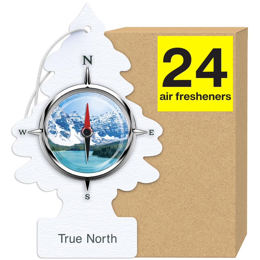 Little Trees Air Fresheners Car Air Freshener. Hanging Tree Provides Long Lasting Scent For Auto Or Home. True North, 24 Air Fre