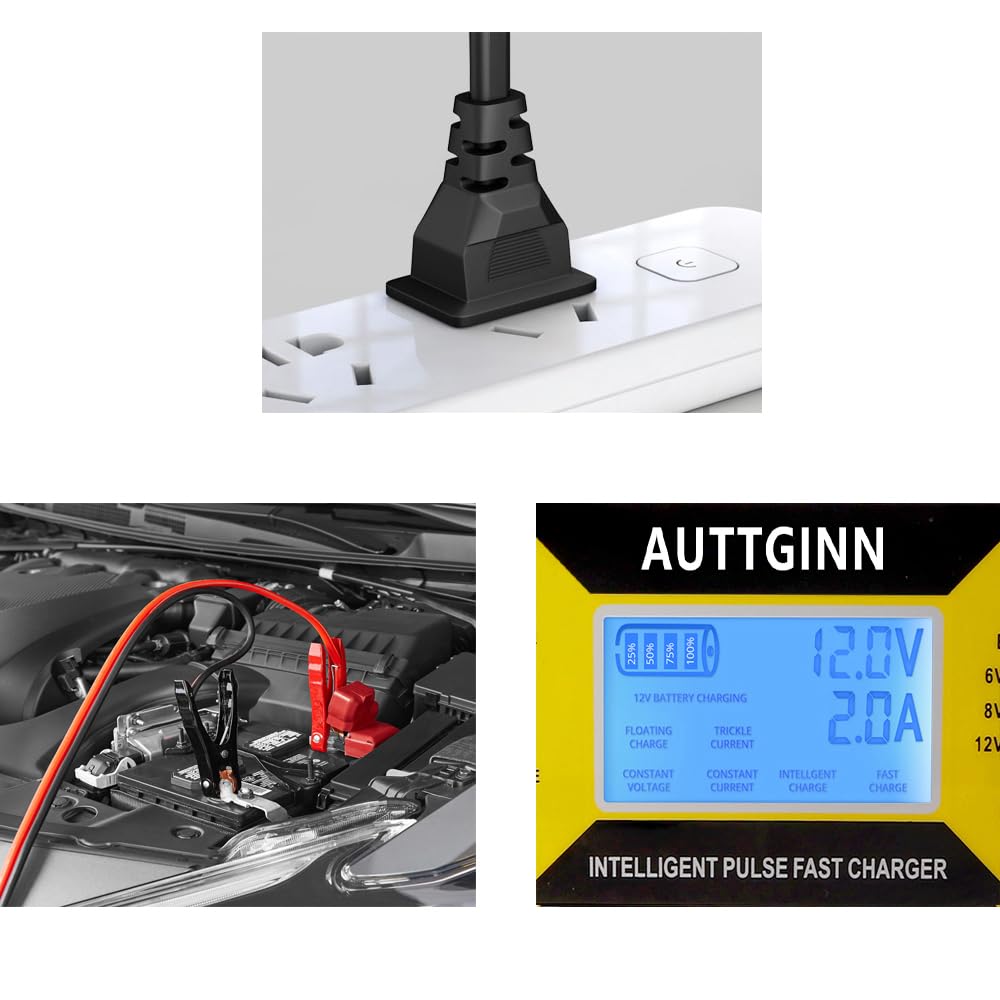 AUTTGINN Smart Adjustable 0-10Amp Battery Charger for 6-24V Cars, RVs, Golf Carts - Yellow, Model A8