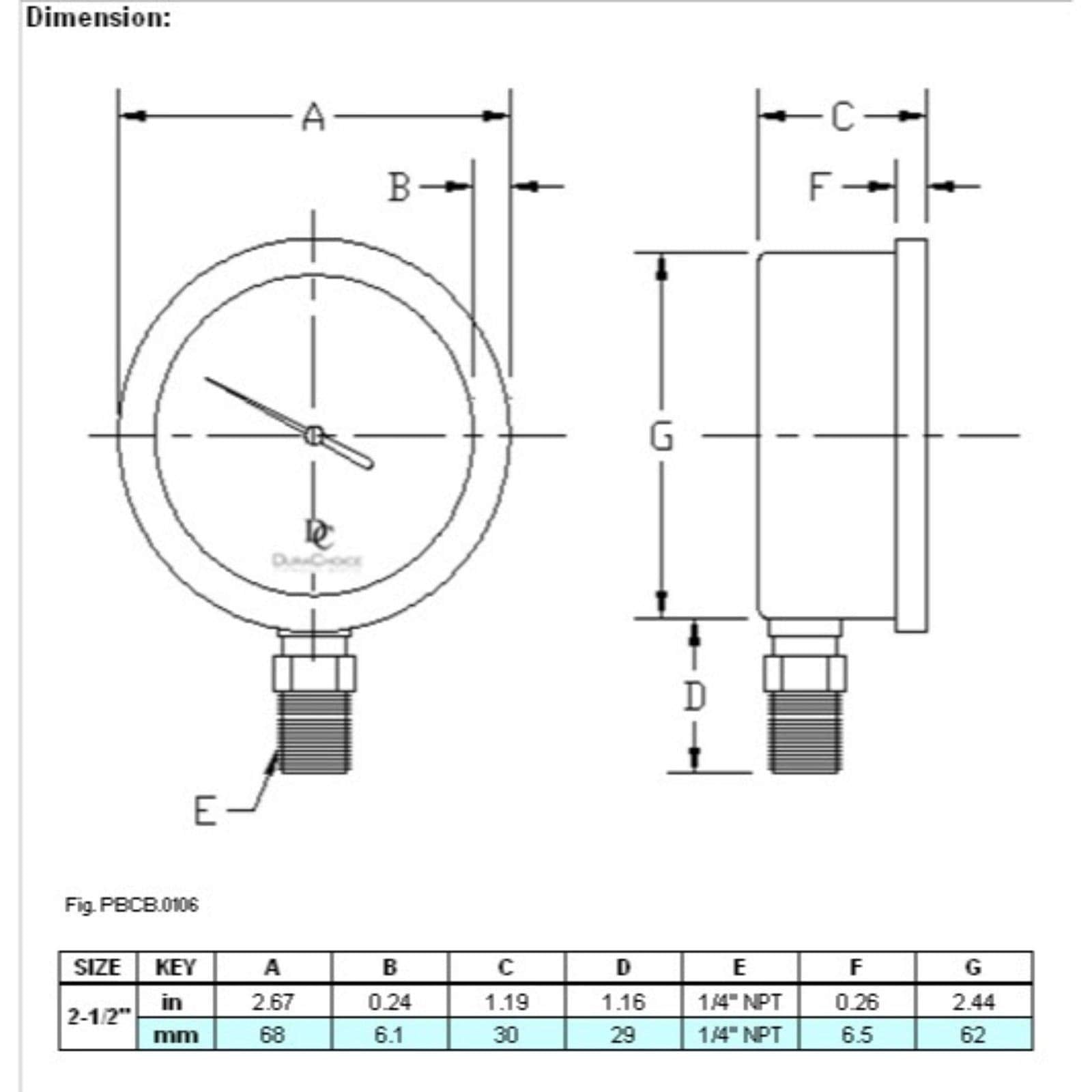DuraChoice 2-1/2" Oil Filled Pressure Gauge, Stainless Steel Case, 0-200 PSI, Lower Mount, Model PB254L-200