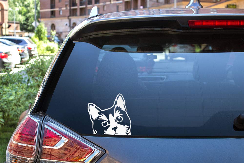 Wirester 6 Inch Clear Vinyl Decal Sticker Decoration For Car Window (Or Any Flat Surface) - Tuxedo Cat
