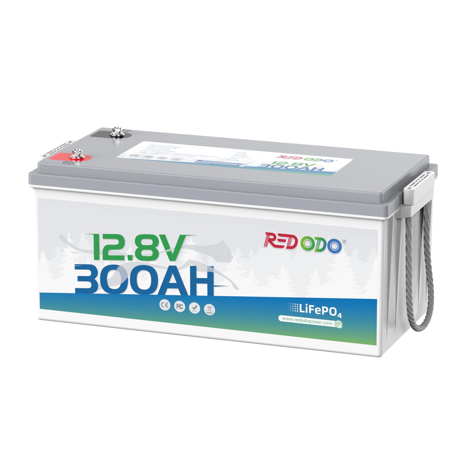 Redodo 12V 300Ah LiFePO4 Battery, 3840Wh Lithium Battery, 200A BMS, 10 Years Lifetime, Up to 15000 Deep Cycles, Backup Power for