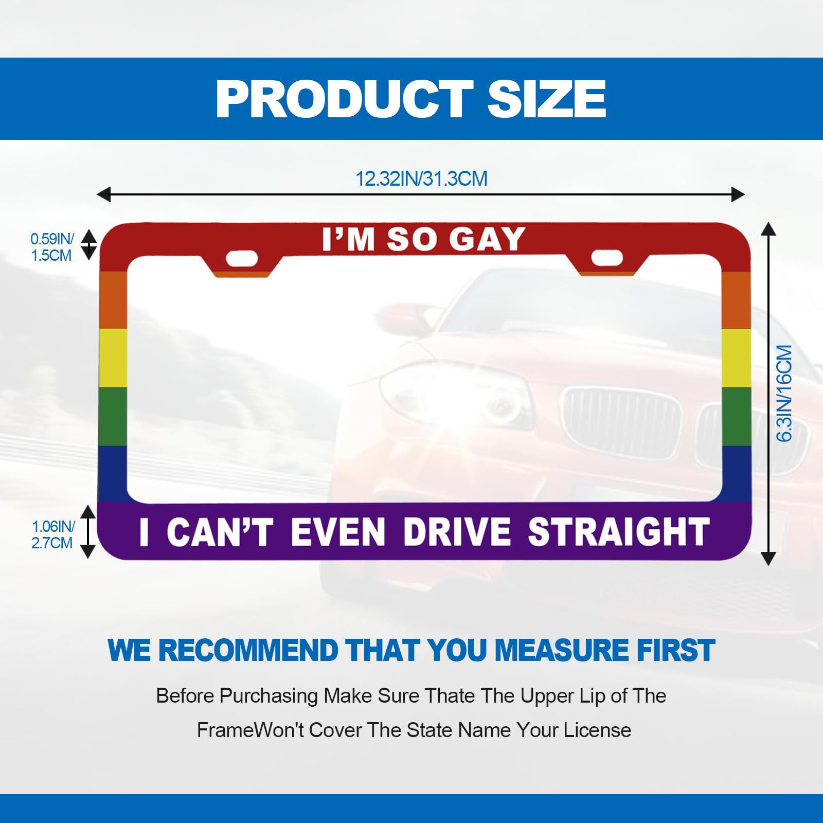 CmeRto Funny License Plate Frame - Aluminum Car Cover, 12x6 Inch, Gay Pride Rainbow Flag, "I'm So Gay I Can't Even Drive Straight"