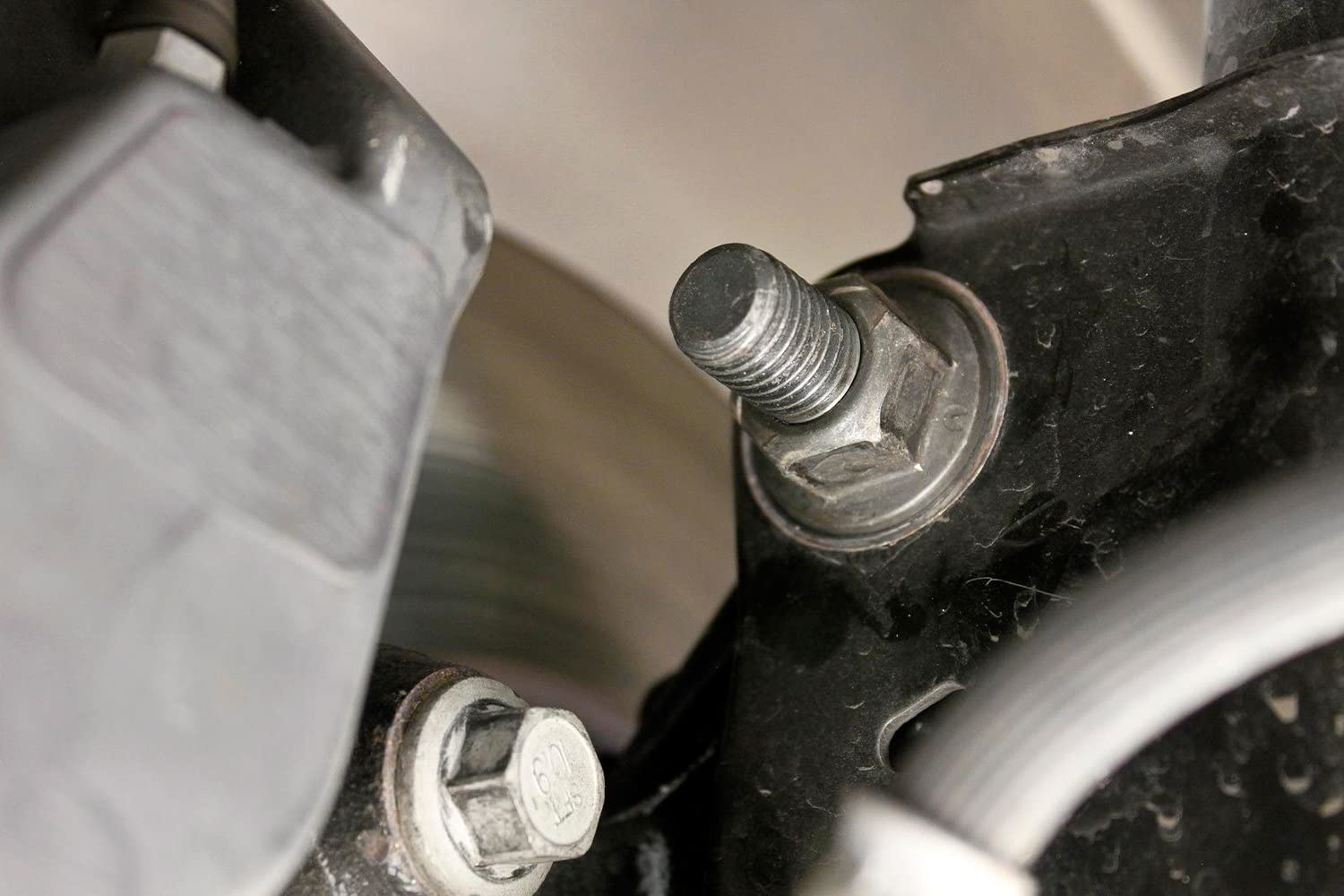 BMR Camber Bolts - Front 2.5 Degrees Offset, Alloy Steel, Black, Model FC003