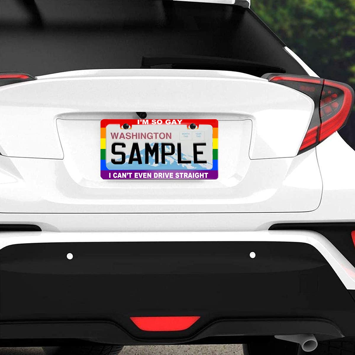 Funny License Plate Frame with Humor Text Gay Pride Rainbow Flag I'm So Gay I Can't Even Drive Straight Stainless Steels Black C
