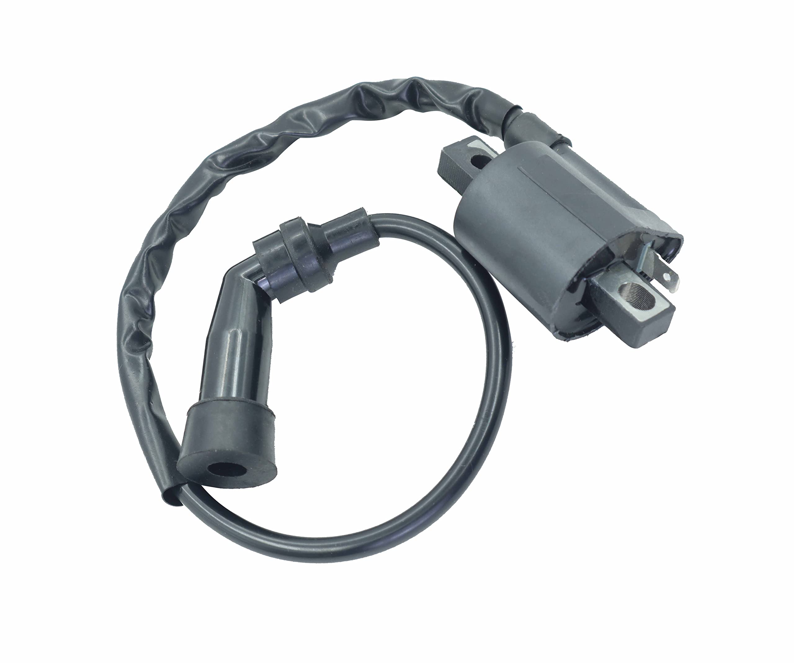 CDI Box Ignition Coil Fit for Arctic Cat 300 2X4 4X4 1998-2005, for Arctic Cat 250 2X4 4X4 1999-2005 with Ignition coil,spark pl