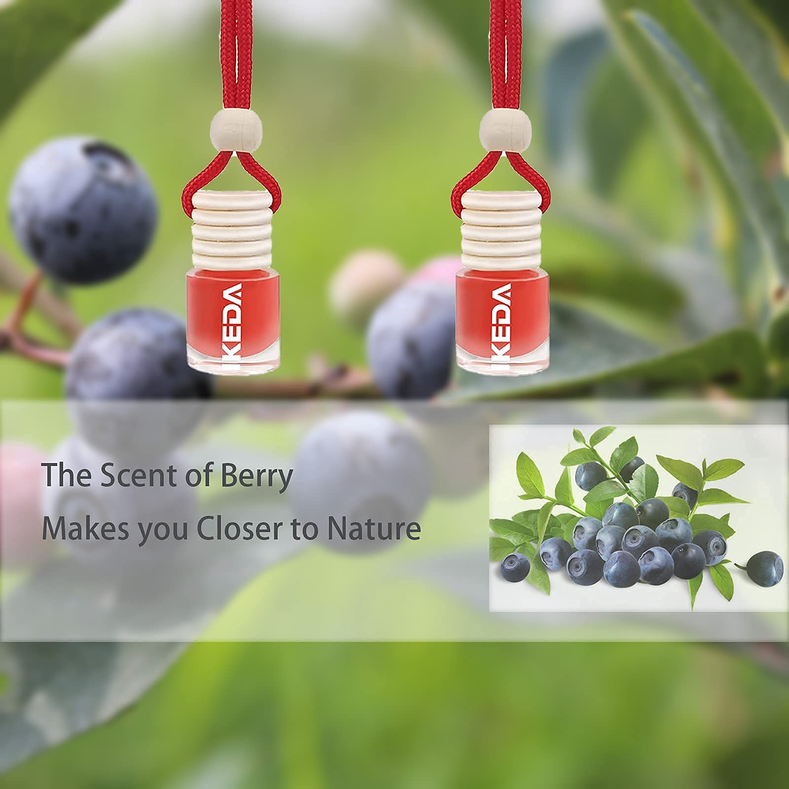 Ikeda Fragrance Car Air Freshener 4Ml Car Scents | 6Pcs 45-Days Keep Fragrance | Automotive Hanging Diffuser Bottles | Remove Au