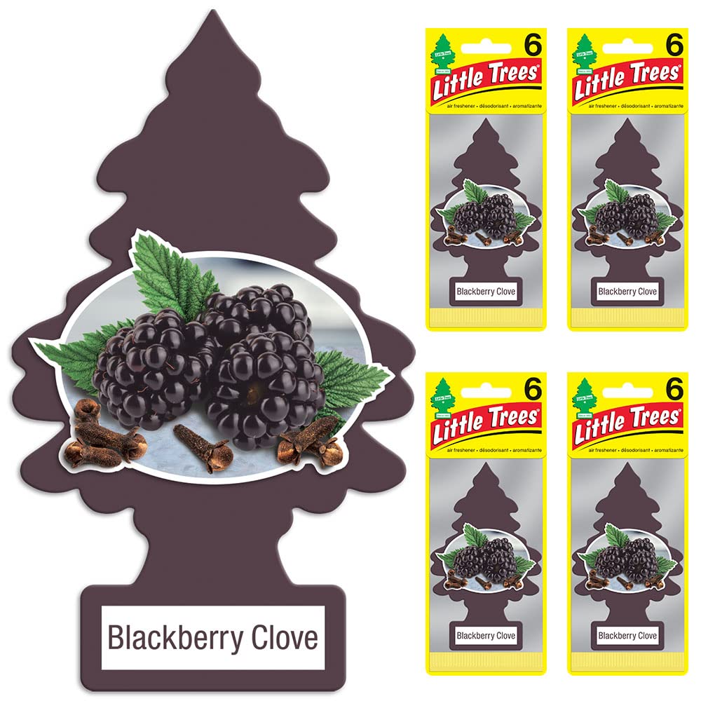 LITTLE TREES Car Air Freshener - Blackberry Clove, 4 Count (Pack of 6) - Long Lasting Scent for Auto or Home, Model U6P-67343-