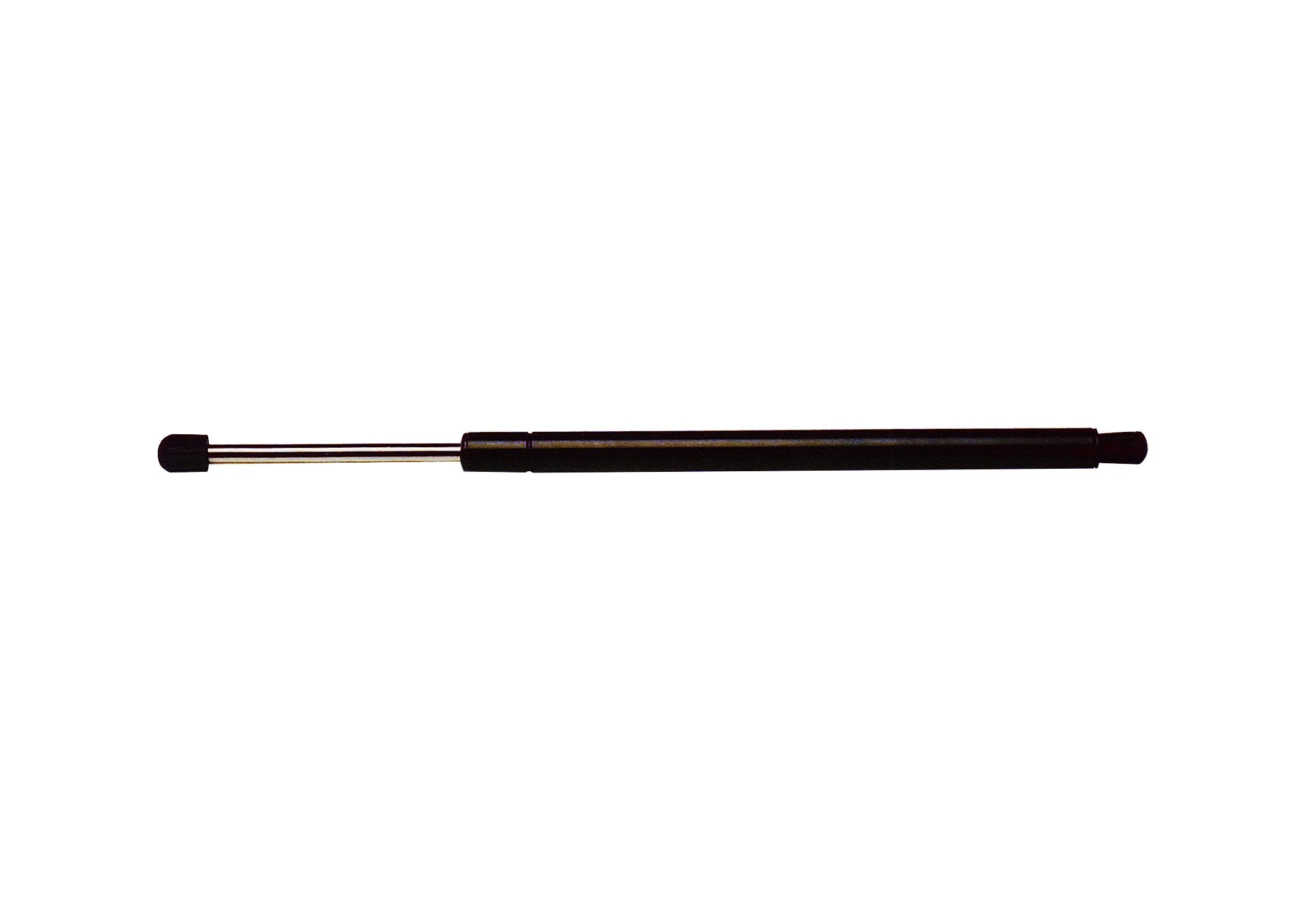 Strongarm 6186 Liftgate Lift Support, Pack Of 1, Black