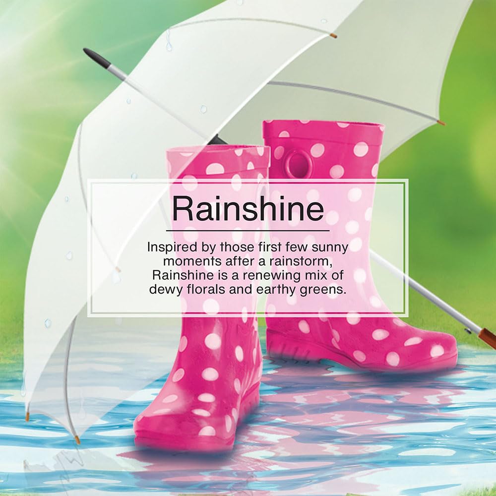 Little Air Fresheners Car Air Freshener. Hanging Tree Provides Long Lasting Scent For Auto Or Home. Rainshine, 24 Air Fresheners
