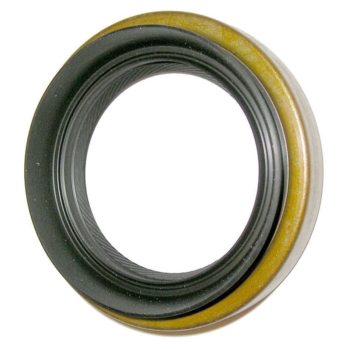 Skf Seal (18491)